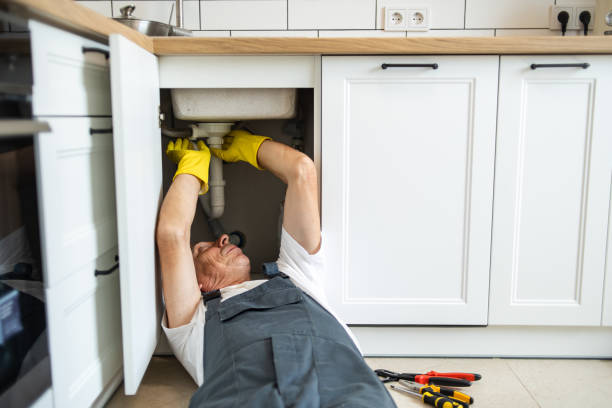 Best Plumbing Inspection Services  in Williamston, NC
